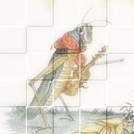 Profile picture of Glasshopper (test account)
